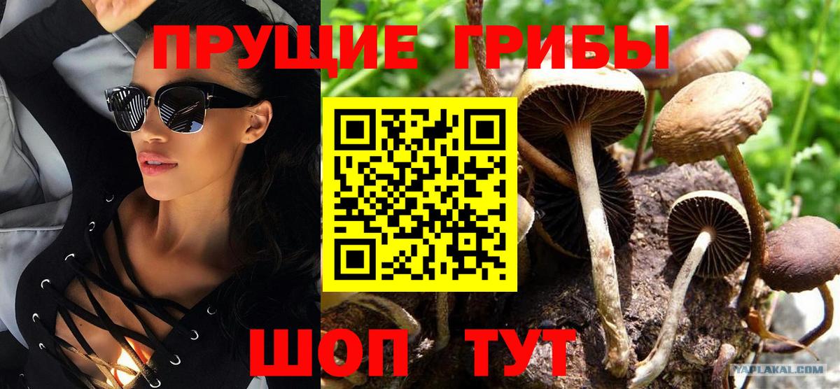Владимир  где найти наркотики  Вход с VPN  Галлюциногенные грибы Magic Shrooms 