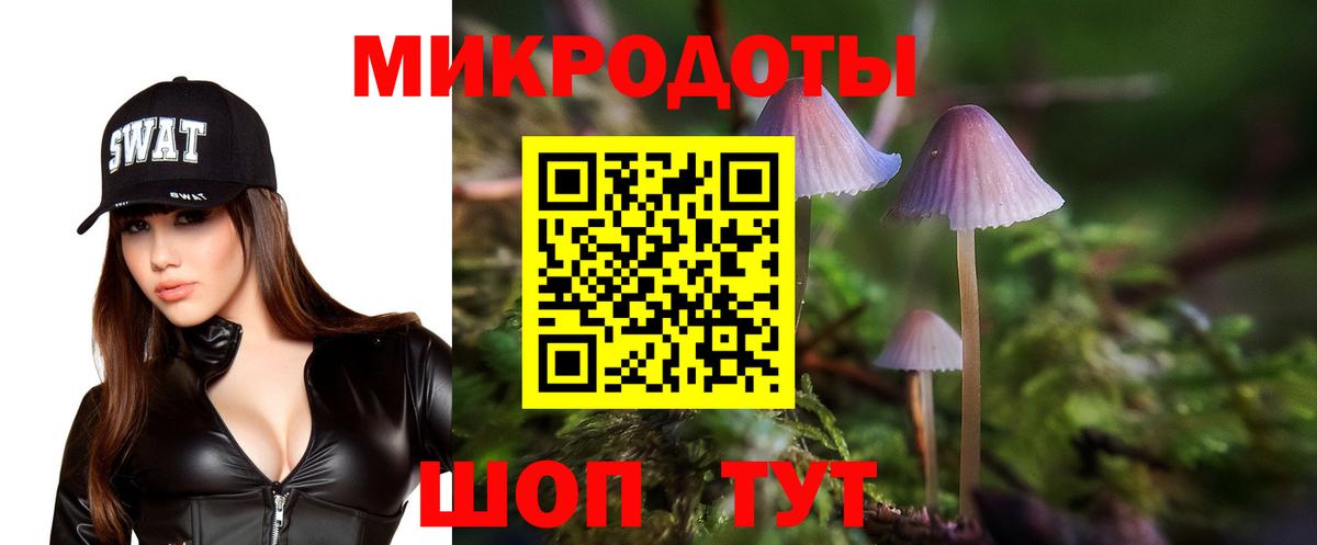 Псилоцибиновые грибы Psilocybe Владимир